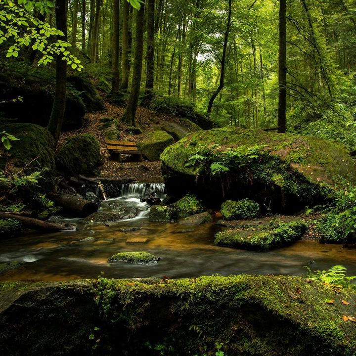 Nature